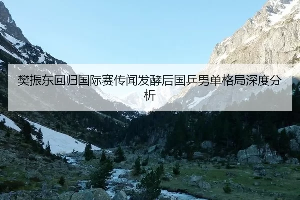 樊振东回归国际赛传闻发酵后国乒男单格局深度分析